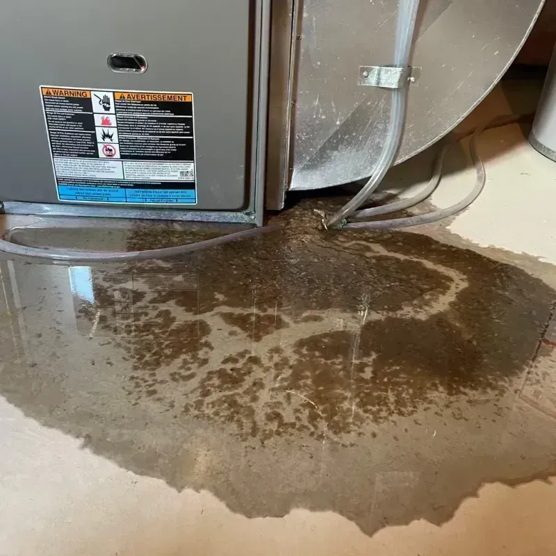 Appliance Leak Cleanup in Warsaw, KY